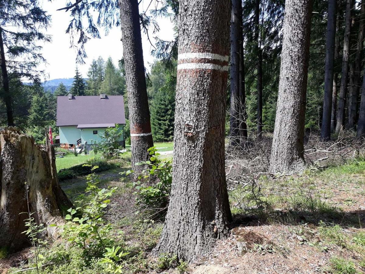 Chata Lipno Lipno nad Vltavou Exterior photo